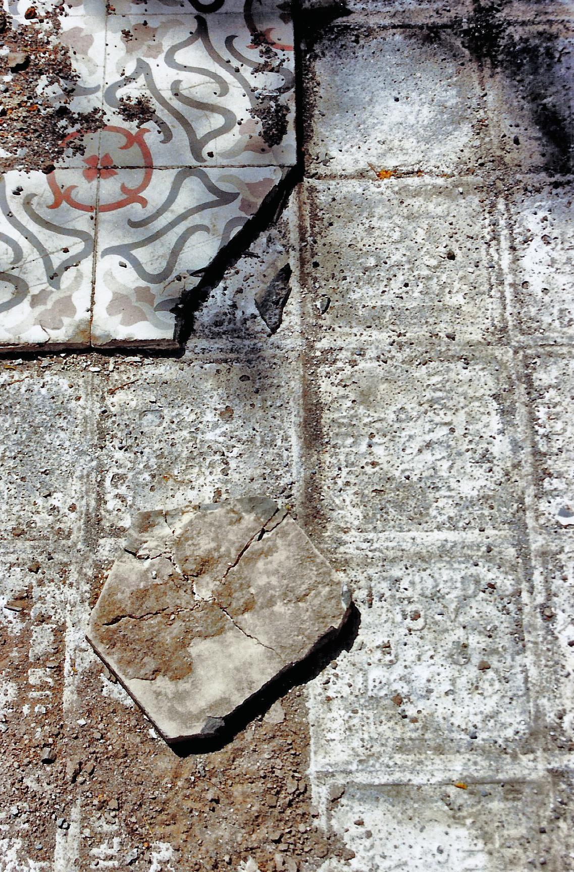 Magnolia Soto. Sin título. 1999. Baldosas de cemento hidráulico.  20 x 20 x 5 cm. cada una. Medidas variables (proceso 2)